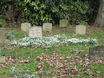 Pet Cemetery Prince Donnalley with snowdrops