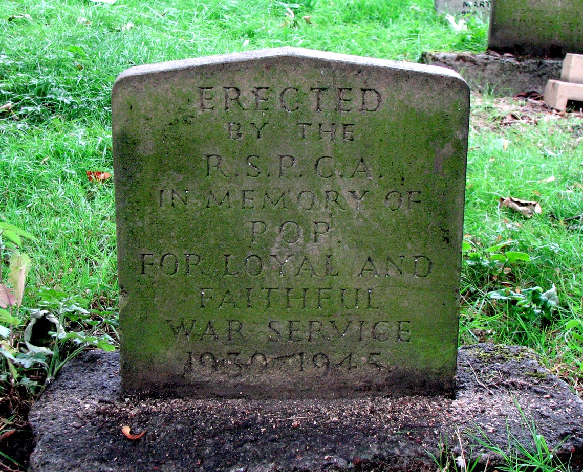Pop's gravestone