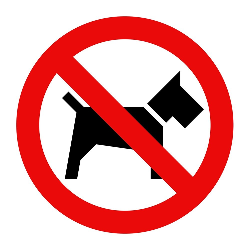 No Dogs On The Playing Field